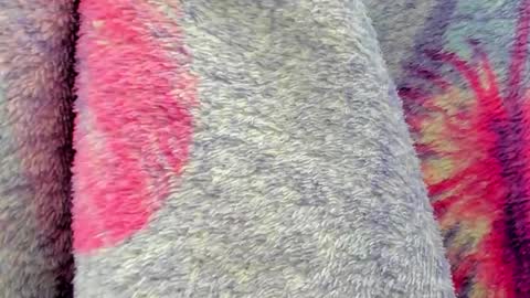 Mia online show from October 6, 9:40 am