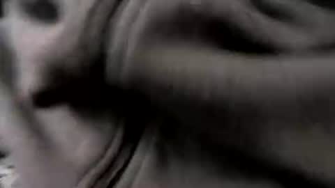 chicagosuburbs7 online show from January 16, 5:17 pm