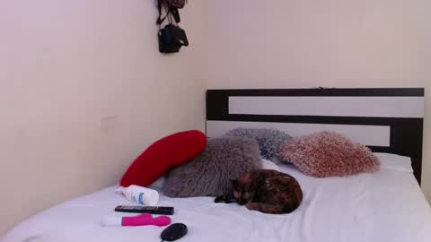  Valentina  online show from January 4, 1:52 am