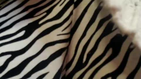 yoursensualparadise online show from January 28, 6:07 pm
