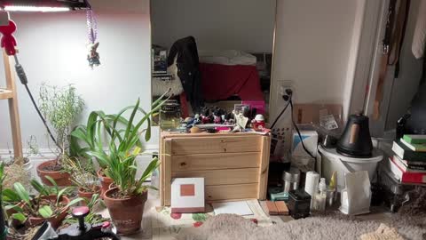 judith online show from February 3, 11:36 pm