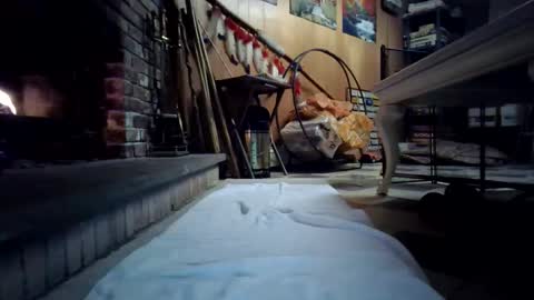 Snapshot of chippy70 chatting on January 18, 7:45 am chippy70 online show from January 18, 7:45 am