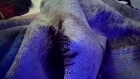 chiwolf1234 online show from February 6, 6:40 am