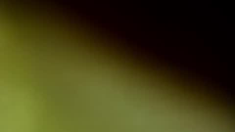 Snapshot of chloee_thompson chatting on September 20, 2:56 am ChloeeThompson online show from September 20, 2:56 am