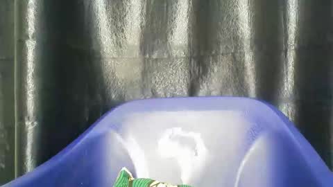 chocoslut22 online show from December 14, 3:45 am