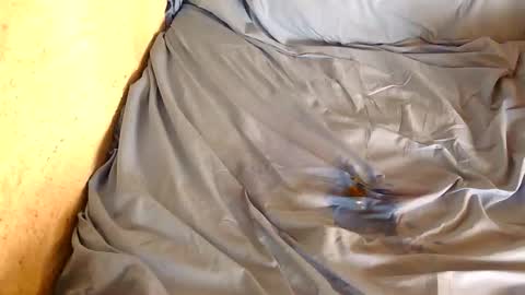 Snapshot of chpoor chatting on February 28, 3:04 pm davenz online show from February 28, 3:04 pm