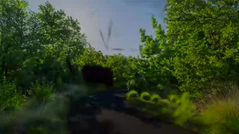 Chris online show from January 27, 8:07 am