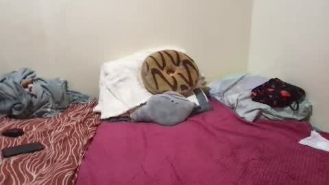 Snapshot of chris_jake1 chatting on March 14, 11:04 am chris_jake1 online show from March 14, 11:04 am