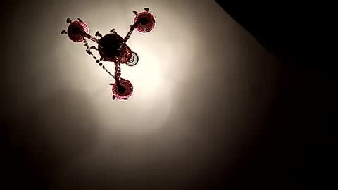 Vicki and Chris online show from November 1, 6:21 pm