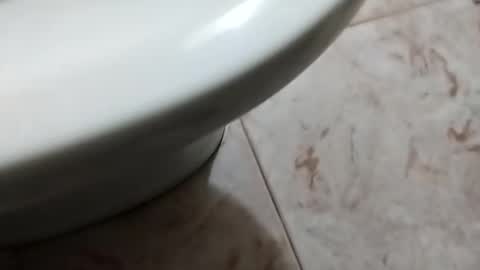 Snapshot of ciccilli chatting on October 5, 8:29 pm ciccilli online show from October 5, 8:29 pm