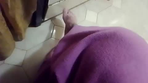 Snapshot of ciccilli chatting on April 13, 7:19 pm ciccilli online show from April 13, 7:19 pm