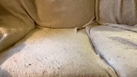 Snapshot of circlejerkslutt chatting on December 17, 4:53 pm join the circle online show from December 17, 4:53 pm