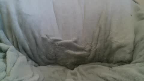 circumsizedbandit online show from February 10, 11:34 pm