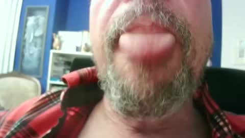 Circus Bear online show from February 20, 4:29 pm