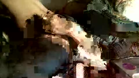 Snapshot of cityman2023 chatting on March 5, 4:13 am dan online show from March 5, 4:13 am