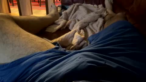 Cjd32 online show from December 13, 9:52 pm