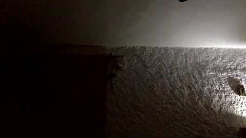 claudi779 online show from January 11, 8:03 pm