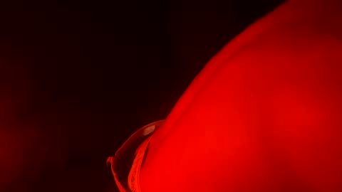 Drew online show from February 14, 6:45 am