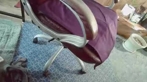 Snapshot of cody81421 chatting on January 12, 2:22 pm cody81421 online show from January 12, 2:22 pm