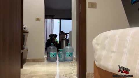 colbyknox online show from September 20, 11:06 pm