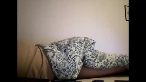 Snapshot of color233 chatting on March 2, 12:31 am color233 online show from March 2, 12:31 am