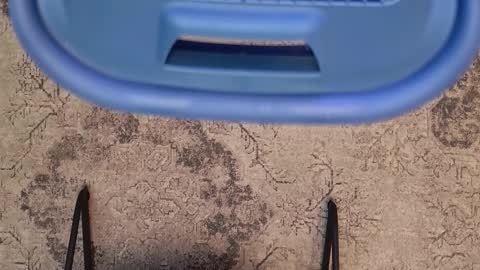 Jhoan online show from February 23, 12:09 am