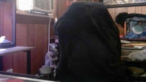 Nelson or ComicKing and sometime Peachy143 online show from March 8, 1:59 pm