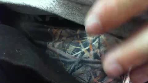 comox online show from March 6, 8:30 am