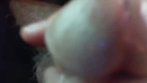 comox online show from November 29, 5:21 am