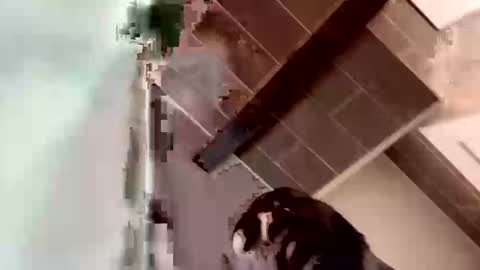 concernsburn online show from January 7, 4:48 am