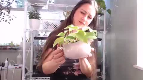 Snapshot of constantcumquest chatting on October 4, 4:27 pm ANR Mommy online show from October 4, 4:27 pm