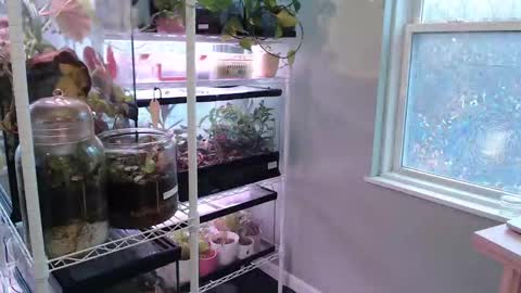 ANR Mommy online show from November 9, 5:22 pm