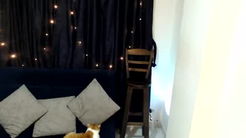 Sofi online show from June 10, 3:07 am