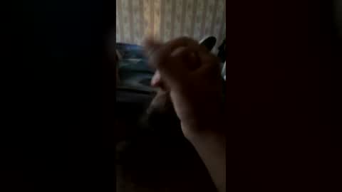 cool473 online show from July 29, 6:17 pm