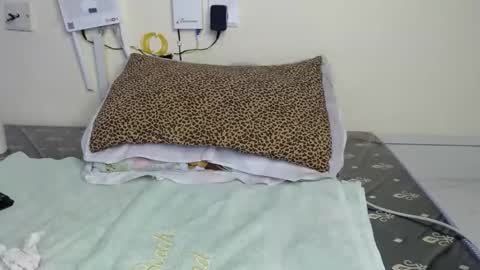 cooldivaa online show from September 9, 10:37 am