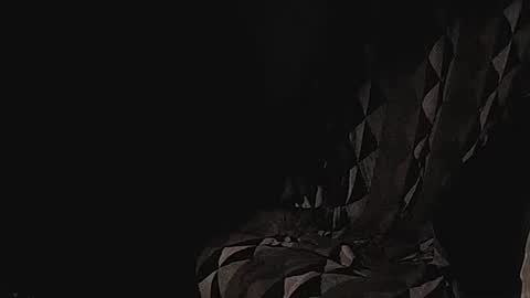 Snapshot of coolmementox chatting on January 17, 1:04 am ChoveEnArrakis online show from January 17, 1:04 am