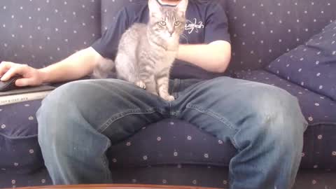 Snapshot of copper_crotch chatting on February 14, 10:28 pm copper_crotch online show from February 14, 10:28 pm