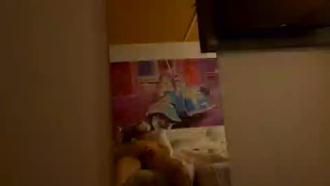 Snapshot of coral_06 chatting on August 3, 7:17 pm coral_06 online show from August 3, 7:17 pm