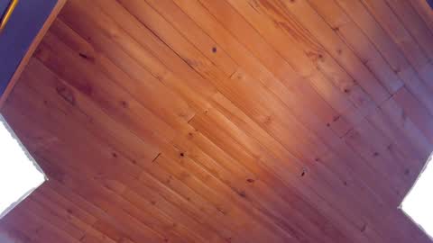 Coraline online show from January 24, 1:45 am