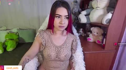 Snapshot of coralwells chatting on November 8, 9:13 pm coralwells online show from November 8, 9:13 pm