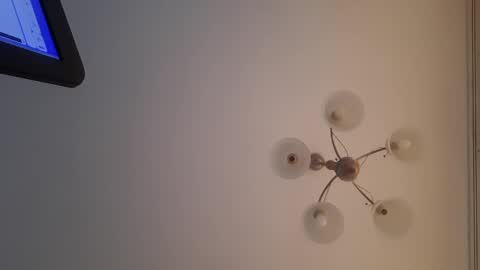 Corvus online show from December 30, 12:52 pm