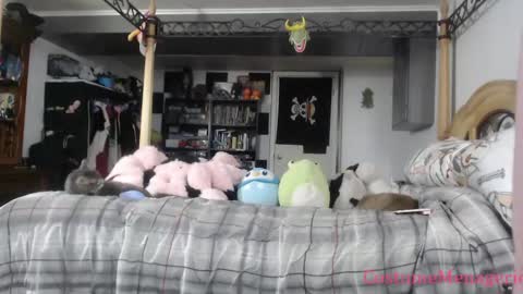 Snapshot of costumemenagerie chatting on April 22, 10:44 pm Amethyst Cox online show from April 22, 10:44 pm