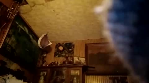 countryboy42225238 online show from December 29, 6:56 am