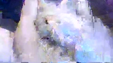 crazydog3690 online show from March 12, 1:34 am