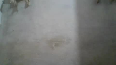 crazzy_booy online show from June 11, 4:32 am