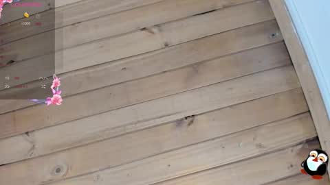 Cristal online show from January 9, 4:15 am