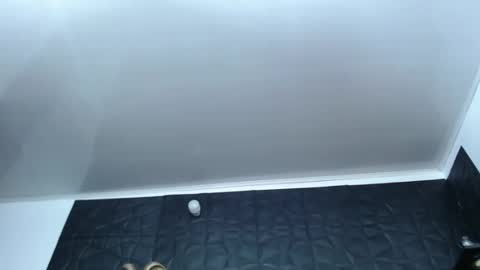 Hanna  online show from December 17, 10:12 am