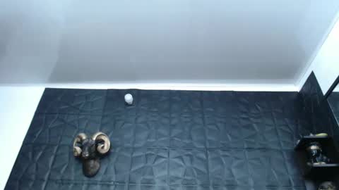 Hanna  online show from February 13, 4:54 am