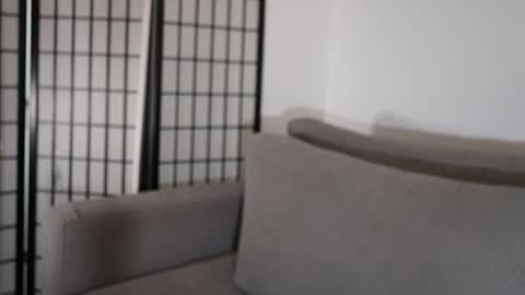 Laura online show from January 17, 9:29 pm