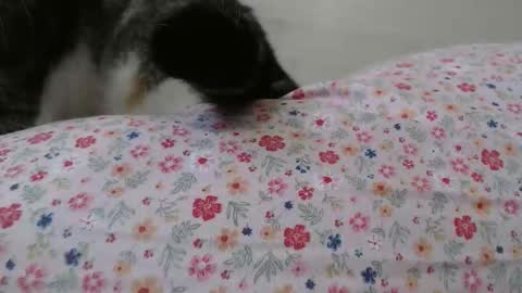 Snapshot of cristiyna36 chatting on March 25, 12:11 pm cristiyna36 online show from March 25, 12:11 pm